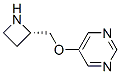 (9CI)-5-[(2S)-2-s़]-ऽY(ji)(gu)ʽ_228866-56-6Y(ji)(gu)ʽ