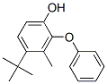 4-[2-(1,1-׻һ)-5-׻]ӽY(ji)(gu)ʽ_307000-42-6Y(ji)(gu)ʽ