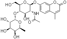 4-׻㶹ػ-2--2-Ó-4---L-૎rǻ--D-սYʽ_383160-13-2Yʽ