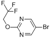 5--2-(2,2,2-)ऽY(ji)(gu)ʽ_433683-47-7Y(ji)(gu)ʽ