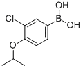 3--4-Y(ji)(gu)ʽ_480438-56-0Y(ji)(gu)ʽ