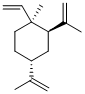 B-ϩY(ji)(gu)ʽ_515-13-9Y(ji)(gu)ʽ