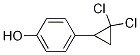 4-(2,2-ȭh(hun))ӽY(ji)(gu)ʽ_52179-26-7Y(ji)(gu)ʽ