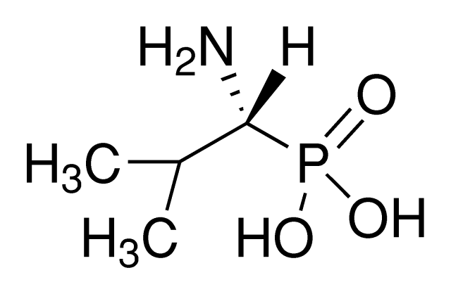 (1R)-(+)-(1--2-׻)Y(ji)(gu)ʽ_66254-56-6Y(ji)(gu)ʽ