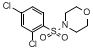 4-(2,4-ȱ)Y(ji)(gu)ʽ_74832-72-7Y(ji)(gu)ʽ