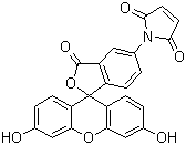 ɹ5-RY(ji)(gu)ʽ_75350-46-8Y(ji)(gu)ʽ