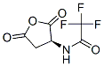(S)-(-)-2-()Yʽ_777-33-3Yʽ
