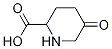5--2-Yʽ_789448-80-2Yʽ
