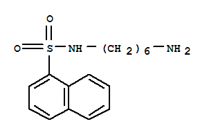 N-(6-)-1-Y(ji)(gu)ʽ_79458-81-4Y(ji)(gu)ʽ
