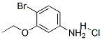 4--3-}}Yʽ_846023-33-4Yʽ