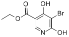 5--4,6-uYʽ_89978-58-5Yʽ