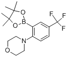 4-[2-(4,4,5,5-ļ׻-1,3,2-f-2-)-4-(׻)]Yʽ_906352-77-0Yʽ