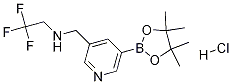 5-(4,4,5,5-ļ׻-1,3,2-f-2-)-N-(2,2,2-һ)-3-़װY(ji)(gu)ʽ_919347-59-4Y(ji)(gu)ʽ