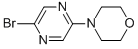 4-(5--2-)Y(ji)(gu)ʽ_955050-08-5Y(ji)(gu)ʽ