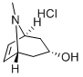 8-׻-8-sph(hun)[3.2.1]-6-ϩ-3-}}Y(ji)(gu)ʽ_99709-24-7Y(ji)(gu)ʽ