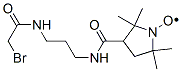3-(3-(2-))-2,2,5,5-ļ׻-1-Y(ji)(gu)ʽ_100900-11-6Y(ji)(gu)ʽ