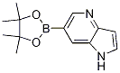 6-(4,4,5,5-ļ׻-1,3,2--2-)-1H-[3,2-b]ऽY(ji)(gu)ʽ_1045855-91-1Y(ji)(gu)ʽ