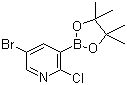 5--2--3-(4,4,5,5-ļ׻-1,3,2-)-ऽY(ji)(gu)ʽ_1073354-79-6Y(ji)(gu)ʽ