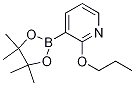 2--3-(4,4,5,5-ļ׻-1,3,2-)-ऽY(ji)ʽ_1073371-87-5Y(ji)ʽ