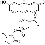 5(6)-ȻɹY(ji)(gu)ʽ_117548-22-8Y(ji)(gu)ʽ