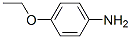 Yʽ_156-43-4Yʽ