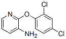 3--2-(2,4-ȱ)ऽY(ji)(gu)ʽ_175136-22-8Y(ji)(gu)ʽ