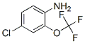 4--2-()Yʽ_175205-77-3Yʽ