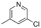3--5-׻ऽY(ji)(gu)ʽ_19230-55-8Y(ji)(gu)ʽ