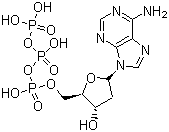 2-Ó 5-Y(ji)(gu)ʽ_1927-31-7Y(ji)(gu)ʽ