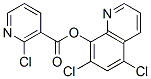 5,7--8--2-ȟAYʽ_246147-23-9Yʽ