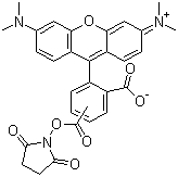 5(6)-Ȼļ׻_Y(ji)(gu)ʽ_246256-50-8Y(ji)(gu)ʽ