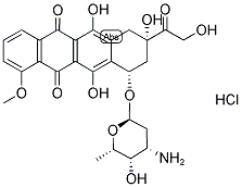}ǽY(ji)(gu)ʽ_25316-40-9Y(ji)(gu)ʽ