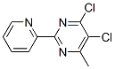 4,5--6-׻-2-(2-ऻ)ऽYʽ_306935-55-7Yʽ