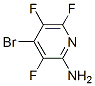 2--4--3,5,6-ऽY(ji)(gu)ʽ_3512-12-7Y(ji)(gu)ʽ