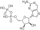 2-ʺնY(ji)(gu)ʽ_36475-53-3Y(ji)(gu)ʽ