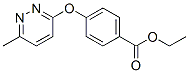 4-[(6-׻-3-)]Y(ji)(gu)ʽ_423768-61-0Y(ji)(gu)ʽ