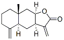 ľ(ni)Y(ji)(gu)ʽ_470-17-7Y(ji)(gu)ʽ