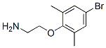 2-(4--2,6-׻)ҰYʽ_499980-87-9Yʽ