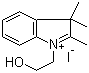 1-(2-uһ)-2,3,3-׻-3H-f⻯Y(ji)(gu)ʽ_50839-66-2Y(ji)(gu)ʽ