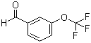 3-()ȩYʽ_52771-21-8Yʽ