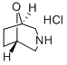 8-f-3-sph(hun)[3.2.1]}}Y(ji)(gu)ʽ_54745-74-3Y(ji)(gu)ʽ