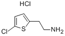 2-(5--2-)Ұ}}Y(ji)(gu)ʽ_548772-42-5Y(ji)(gu)ʽ