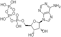 5-սY(ji)(gu)ʽ_56-65-5Y(ji)(gu)ʽ