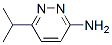 6-(1-׻һ)-3-}ຽY(ji)(gu)ʽ_570416-37-4Y(ji)(gu)ʽ