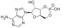 խh(hun)Yʽ_60-92-4Yʽ