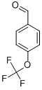 ȩY(ji)(gu)ʽ_659-28-9Y(ji)(gu)ʽ
