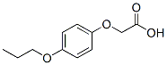 2-(4-)-Y(ji)(gu)ʽ_713509-19-4Y(ji)(gu)ʽ
