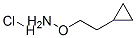 2-h(hun)}}Y(ji)(gu)ʽ_854382-74-4Y(ji)(gu)ʽ