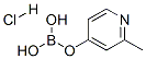 2-׻-4-}}Yʽ_861905-97-7Yʽ
