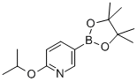 2--5-(4,4,5,5-ļ׻-1,3,2-f-2-)ऽY(ji)(gu)ʽ_871839-91-7Y(ji)(gu)ʽ